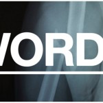WORDS – Everynone