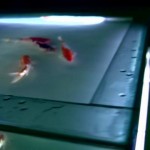 Submersed Songs - Sound Installation