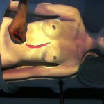 Alice - Interactive Installation
